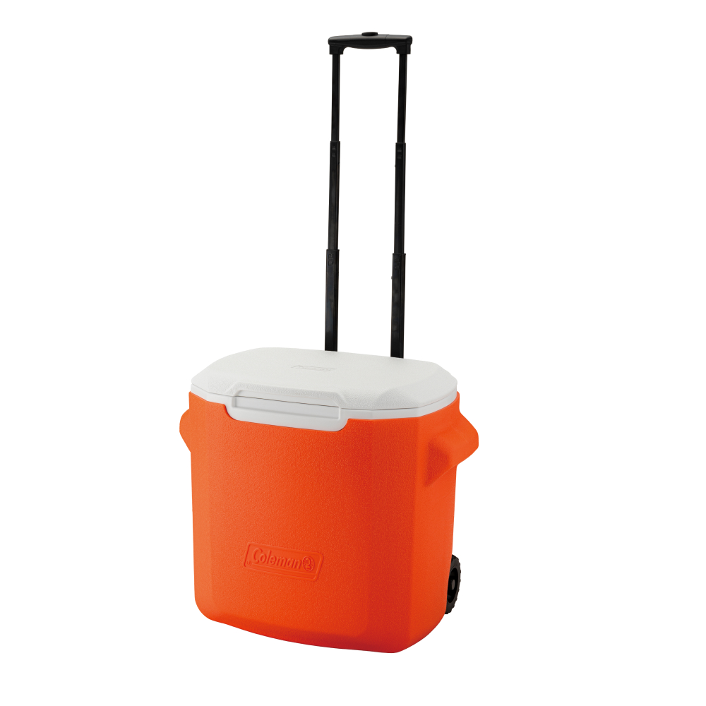 2026年新商品発売開始アイテム | アウトドア用品・キャンプ用品の