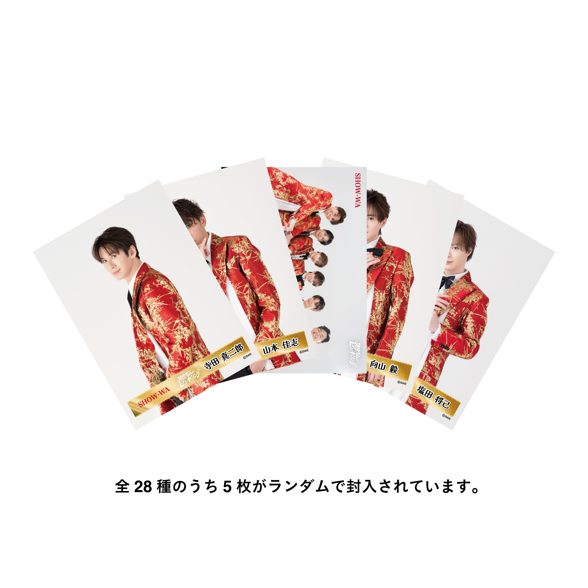 SHOW-WA/MATSURI オフィシャルオンラインストア / 【SHOW-WA】ランダム