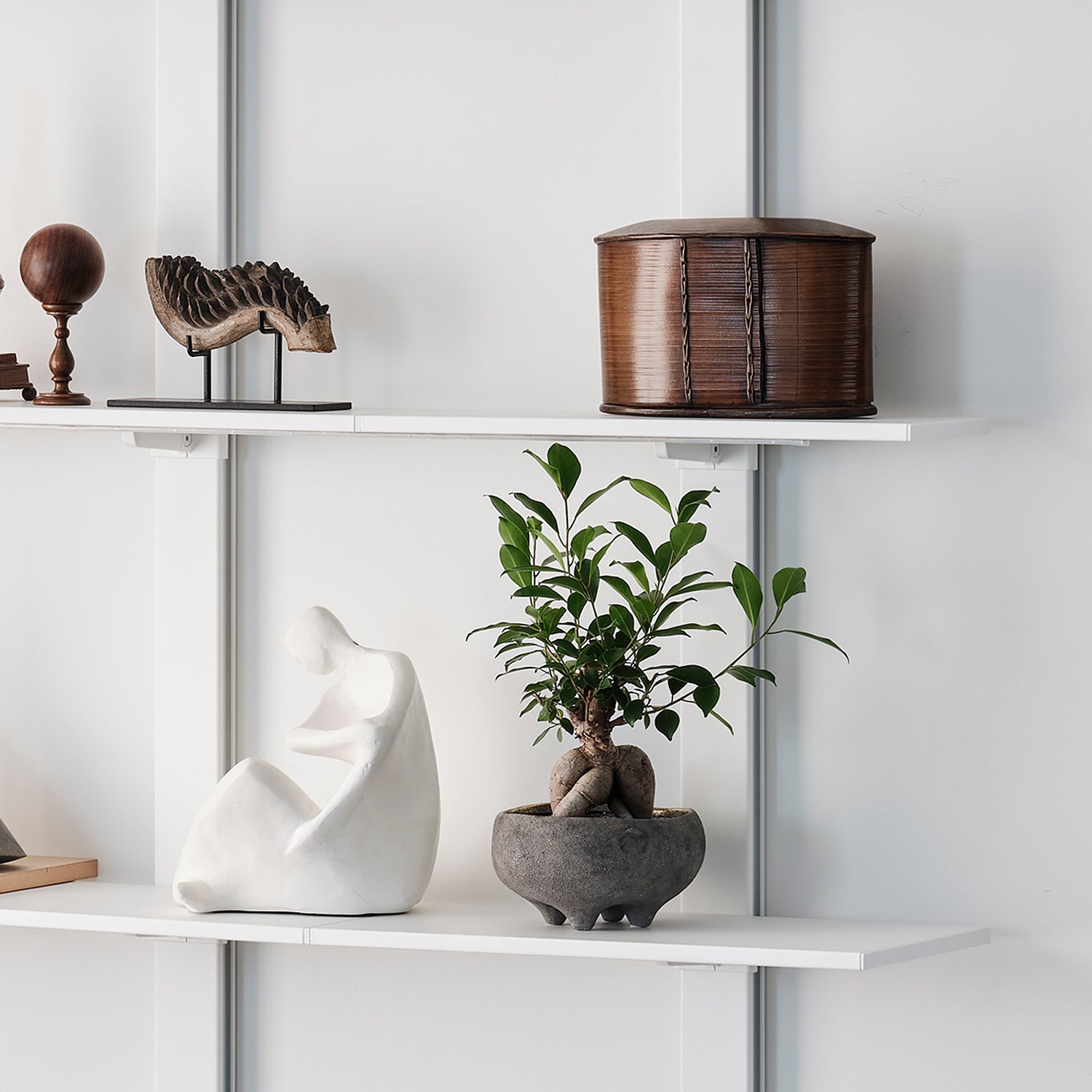 Collection Shelf Set コレクションシェルフセット 取付寸法190-260cm