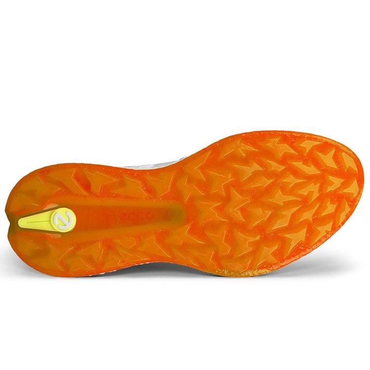 ECCO GOLF エコーゴルフ]ウィメンズ BIOM H5 BOA ゴルフシューズ EU37