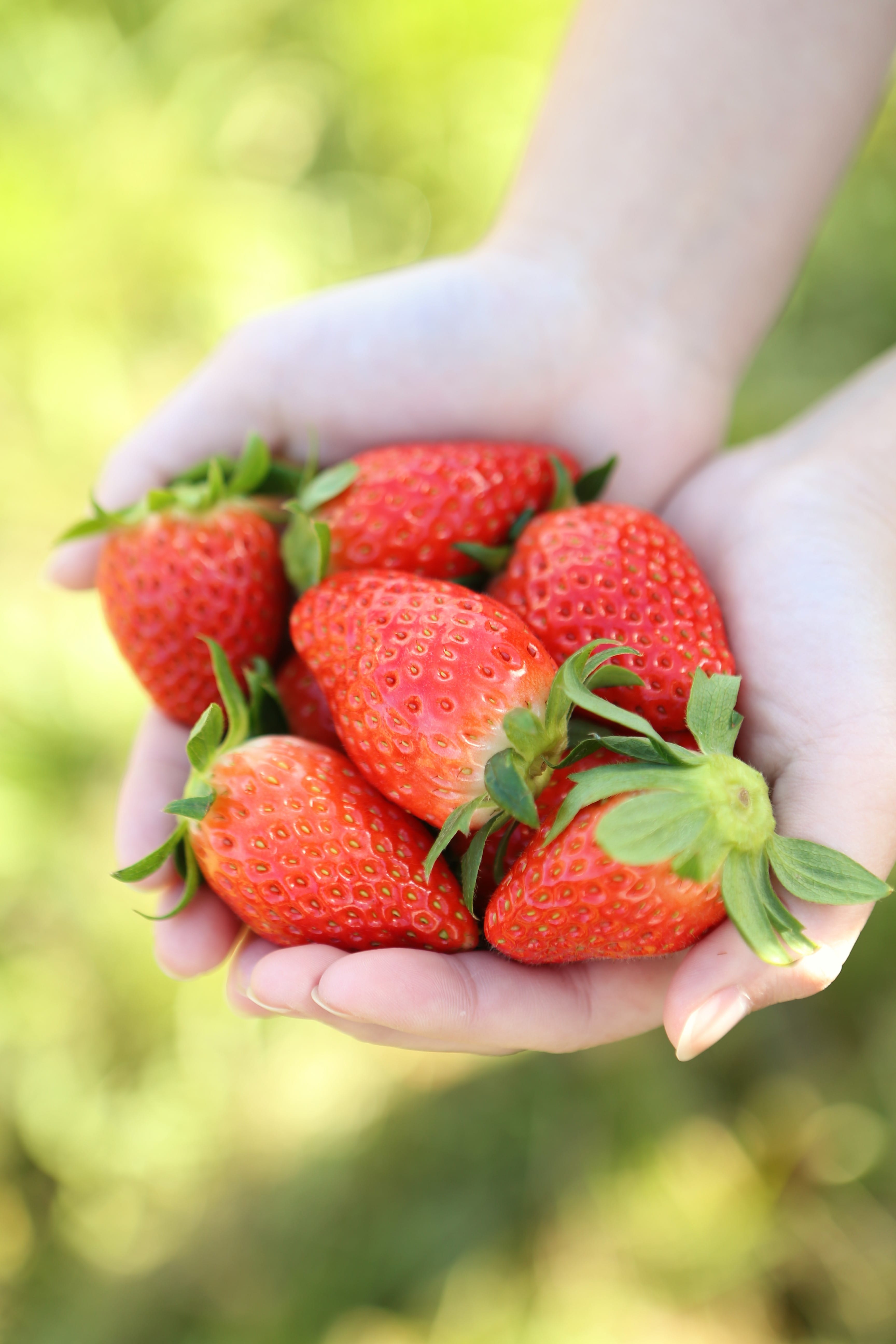 2026年4月発送】岡山県産ブランドいちご〔美作苺〕4P詰合せ 全国