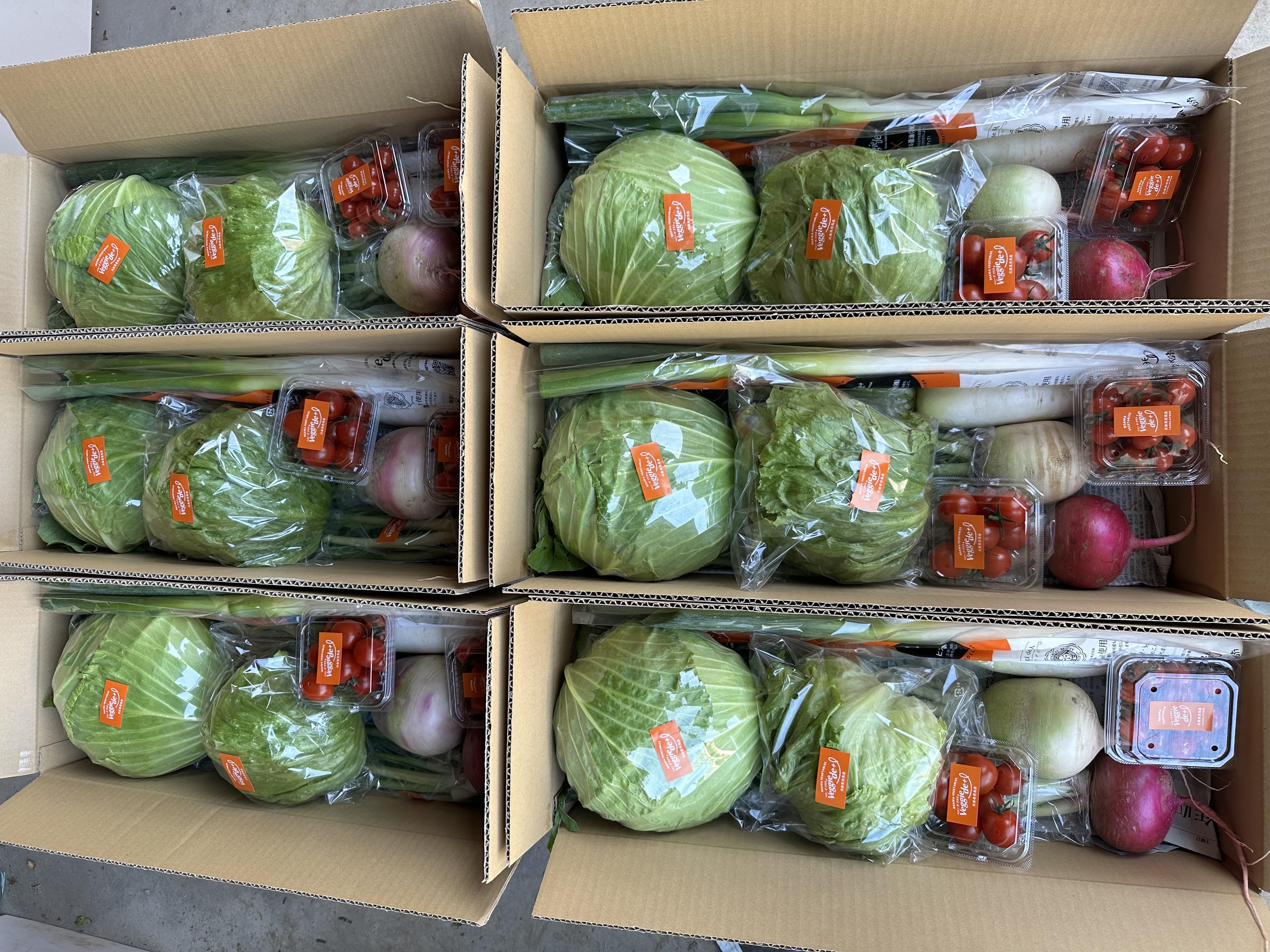 旬のお野菜セット〕「Veggie de +」100サイズの段ボール 旬のおいしさ