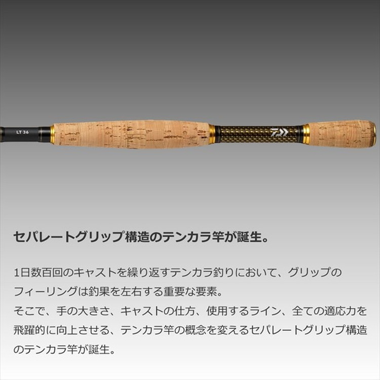 ダイワ テンカラ竿 エキスパート テンカラ LL 33: 釣具の