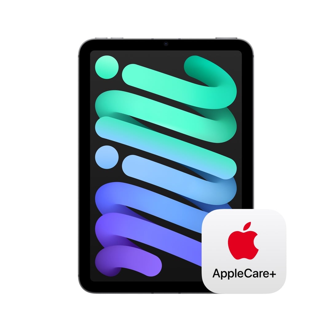 iPad mini Wi-Fi + Cellularモデル 256GB - スペースグレイ with