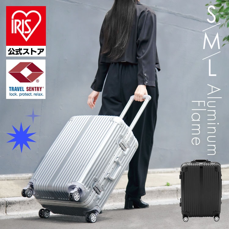 スーツケース 機内持ち込み可能 Sサイズ 40L シルバー HY15054