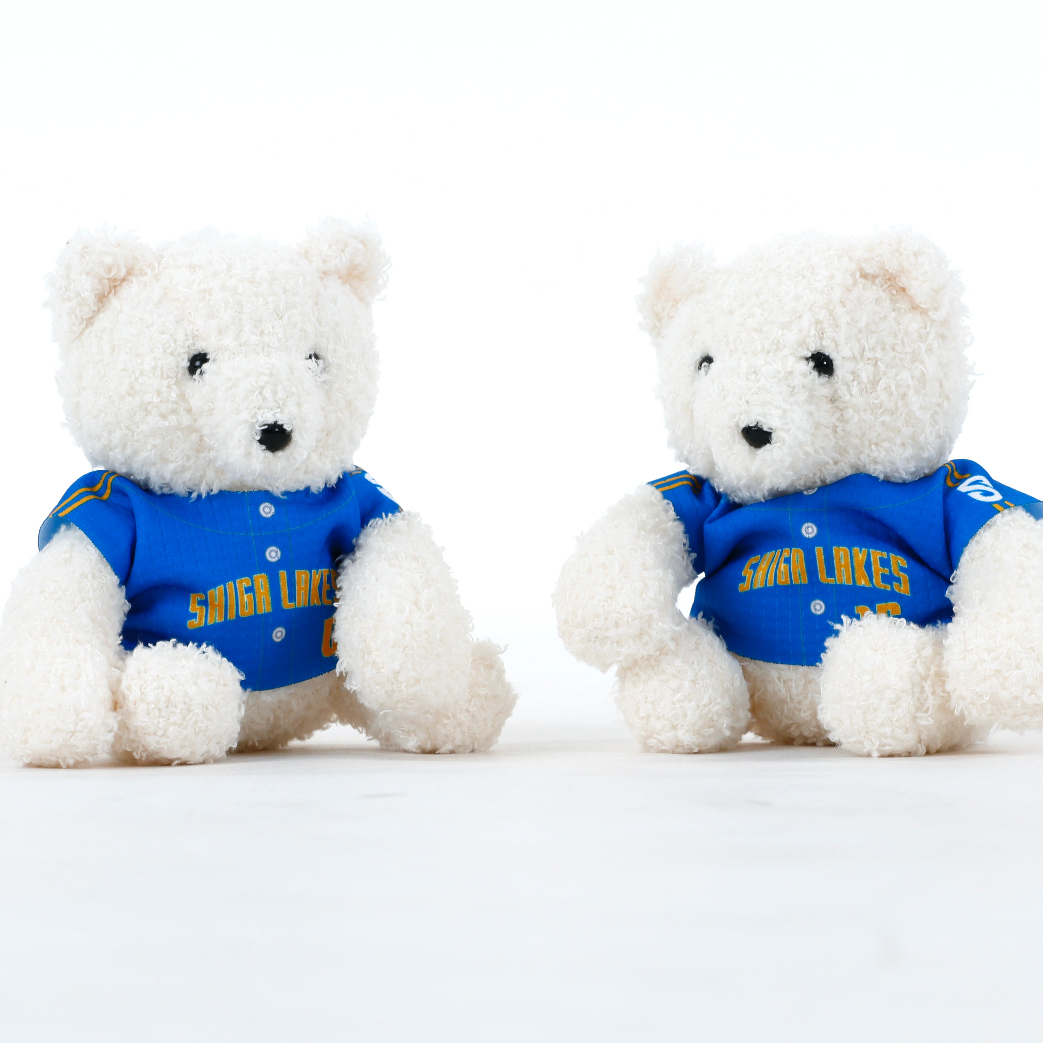 予約受注商品】ふわもこ ベースボールユニあみぐるみベア – 滋賀