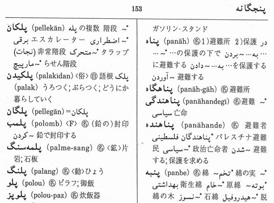 ペ日・日ペ 現代ペルシア語辞典(合本)