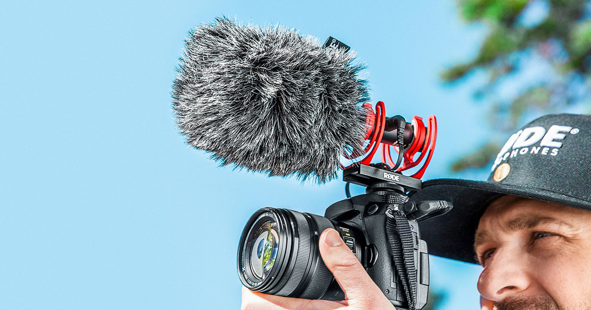 WS11 | Windshield for VideoMic NTG | RØDE (US)