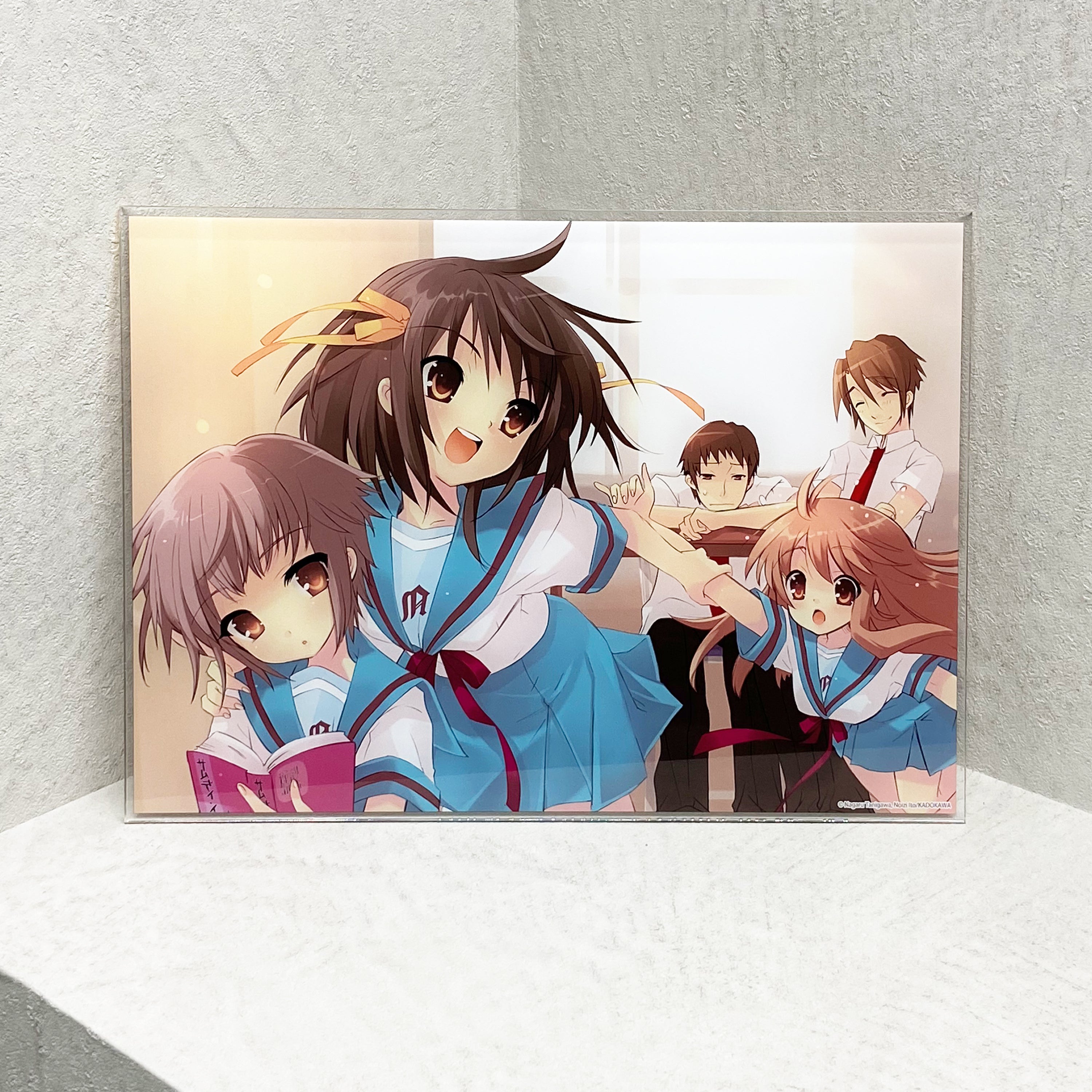 涼宮ハルヒシリーズ