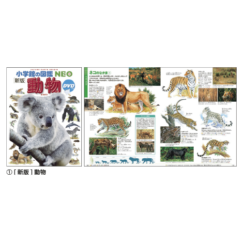 小学館】小学館の図鑑NEO｜教育・保育をサポートするオンライン
