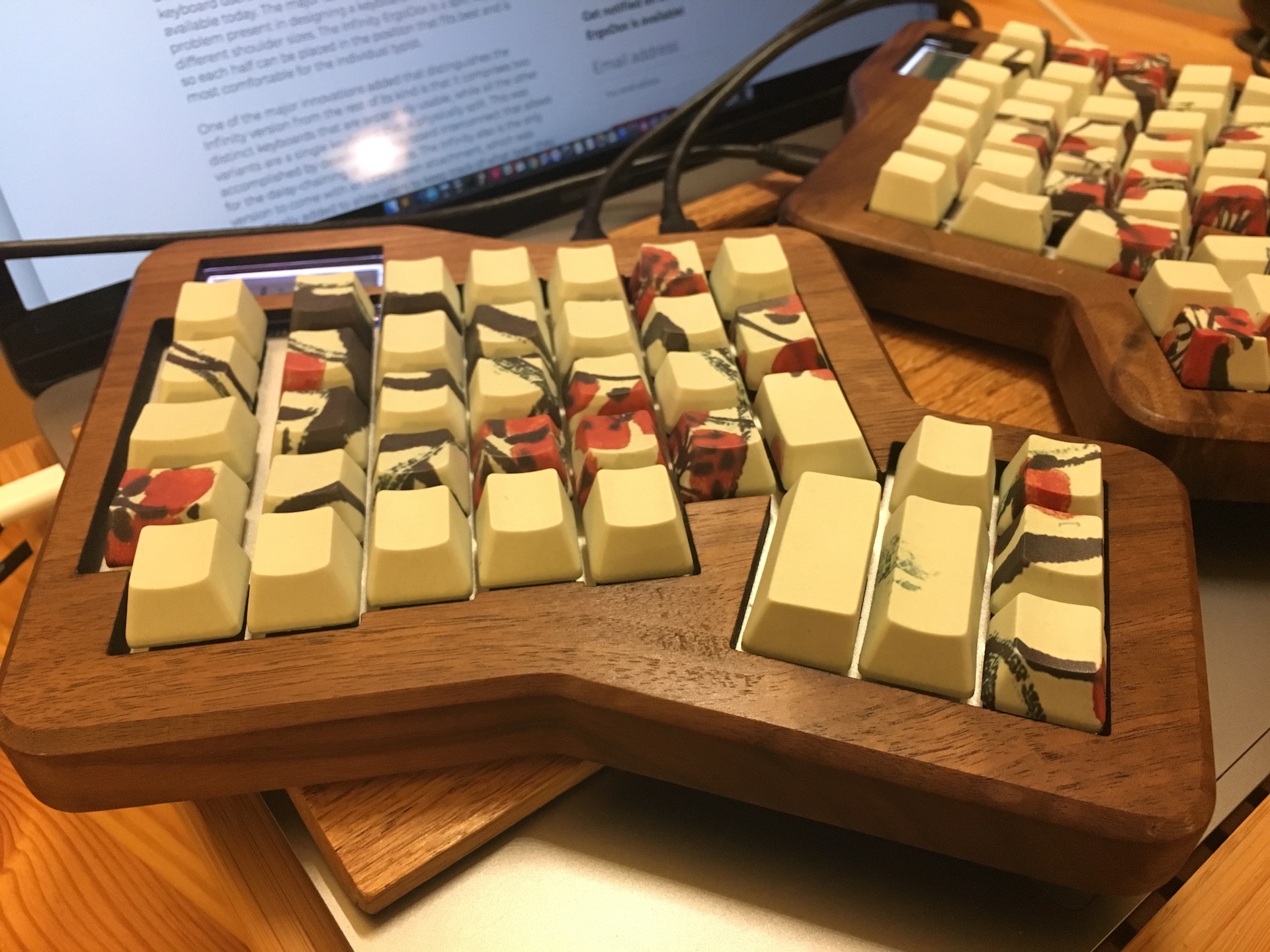 Ergodox · eed3si9n