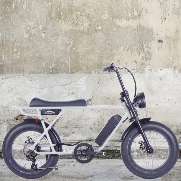 電動自転車／ブロンクスバギーBRONX BUGGY｜e-bike UENO｜バイク王