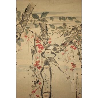狩野探幽意 石舟筆 群猿図 紙本掛軸 Z939｜骨董店 のびる 古美術 骨董