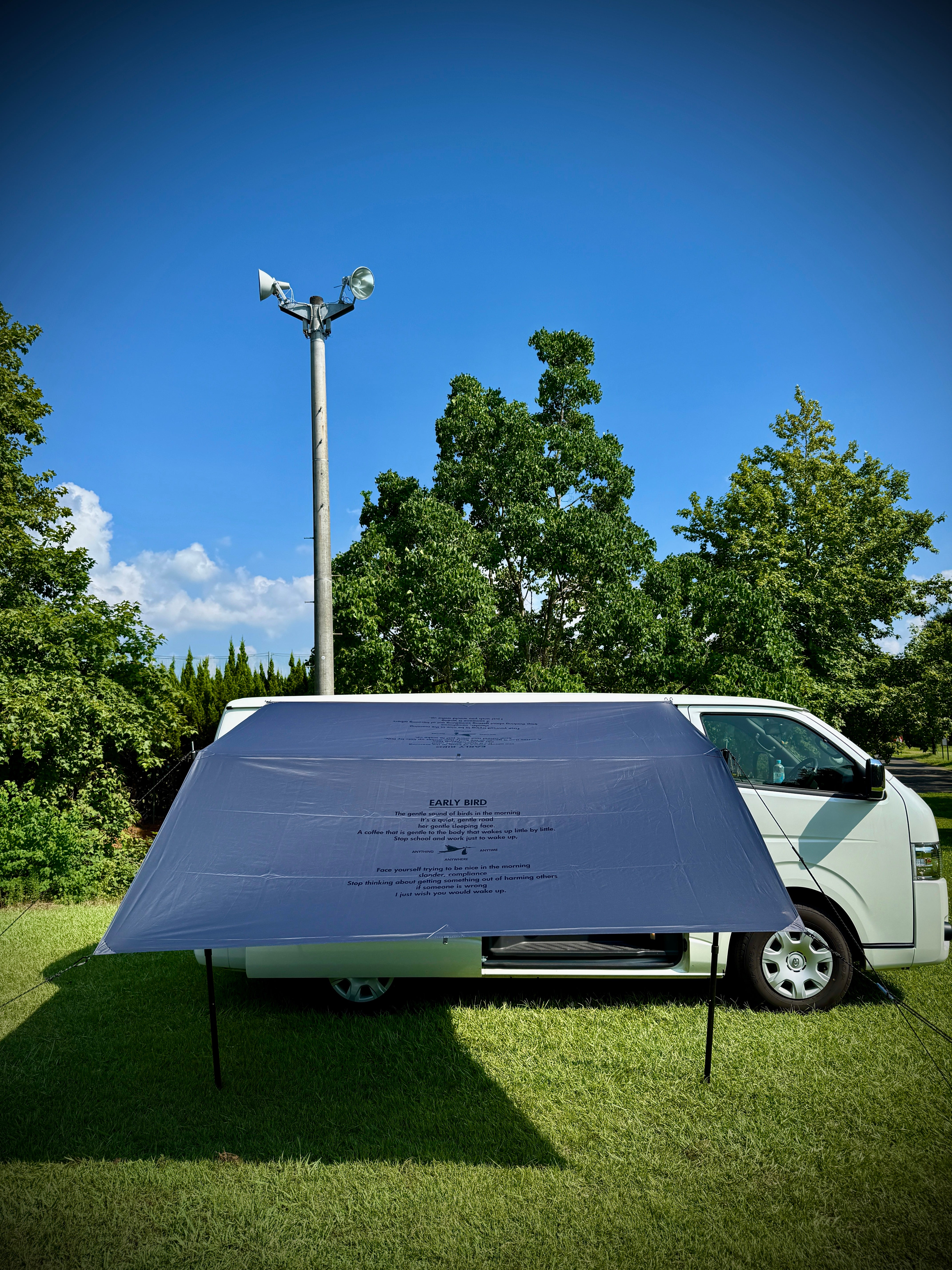 Early Bird Charcoal Gray – eight