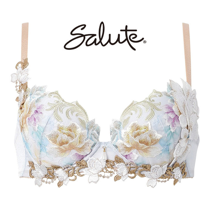 サルート Salute 26グループ 26G ブラジャー プッシュアップブラ 3/4