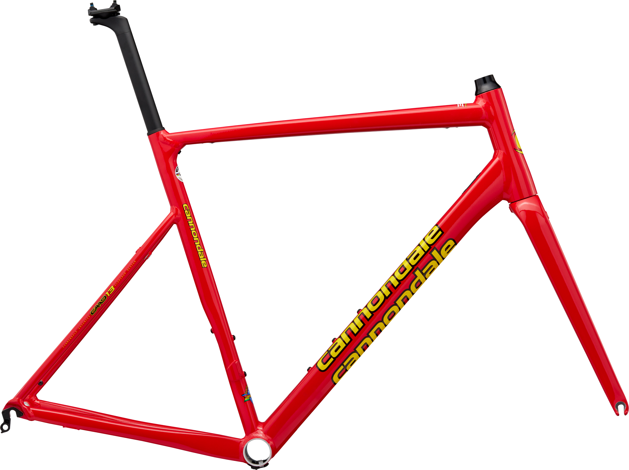 CAAD13 Frameset | Race Bikes | Cannondale