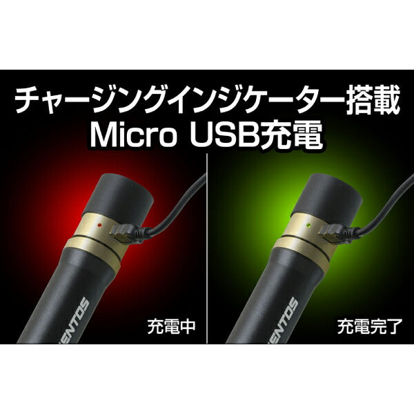 GENTOS 充電式LEDハンディライト レクシード RX-386R ジェントス LED