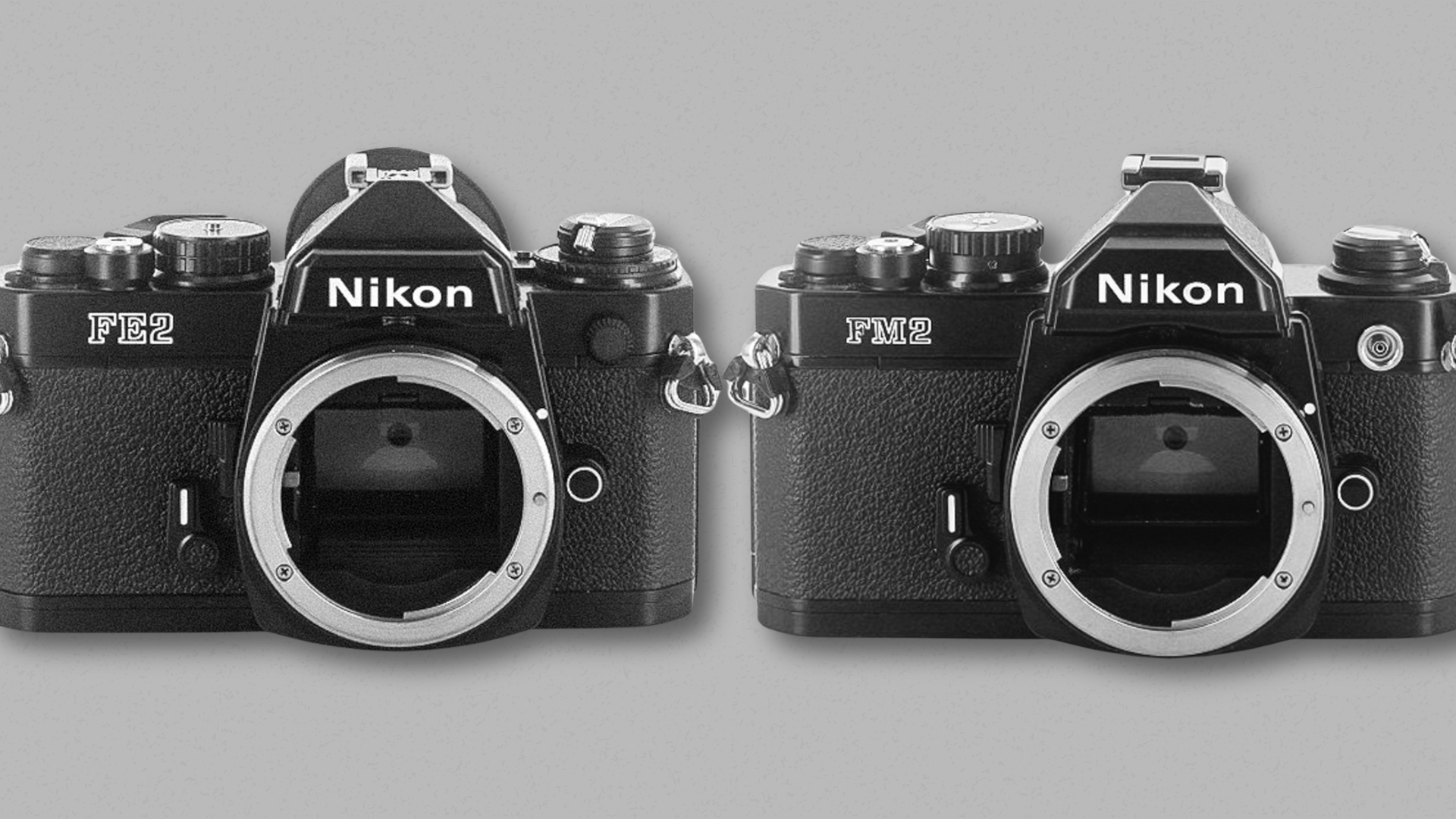ニコンのフィルムカメラ】Nikon FE2とFM2の違いって何？ #カメラの