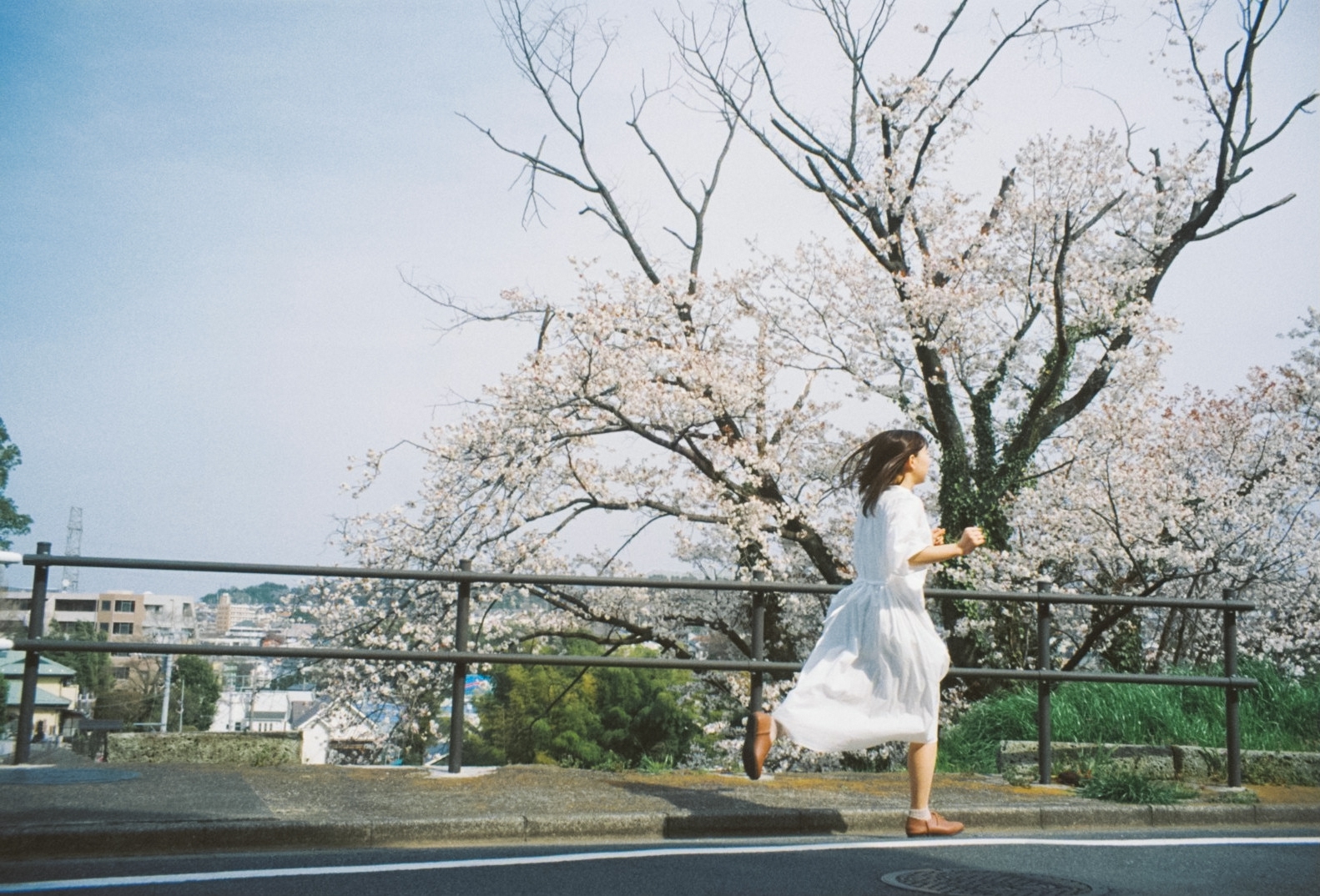 作例レビュー】Canon Autoboy S Ⅱ｜キヤノンのフィルムカメラ