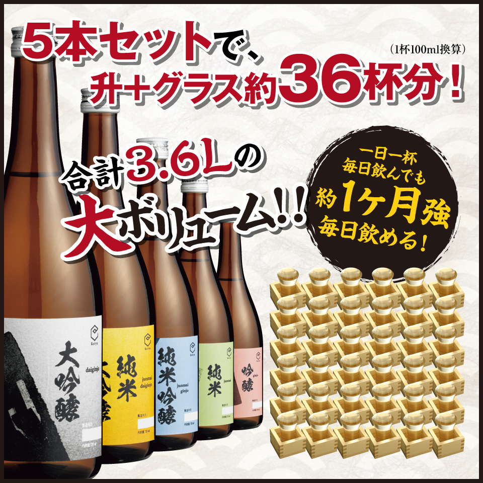日本酒 飲み比べ 大容量セット 720ml×5本 | 遠藤酒造場