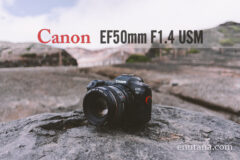 Canon/キヤノンEF50mm F1.4 USMレビュー。ポートレートにも活用