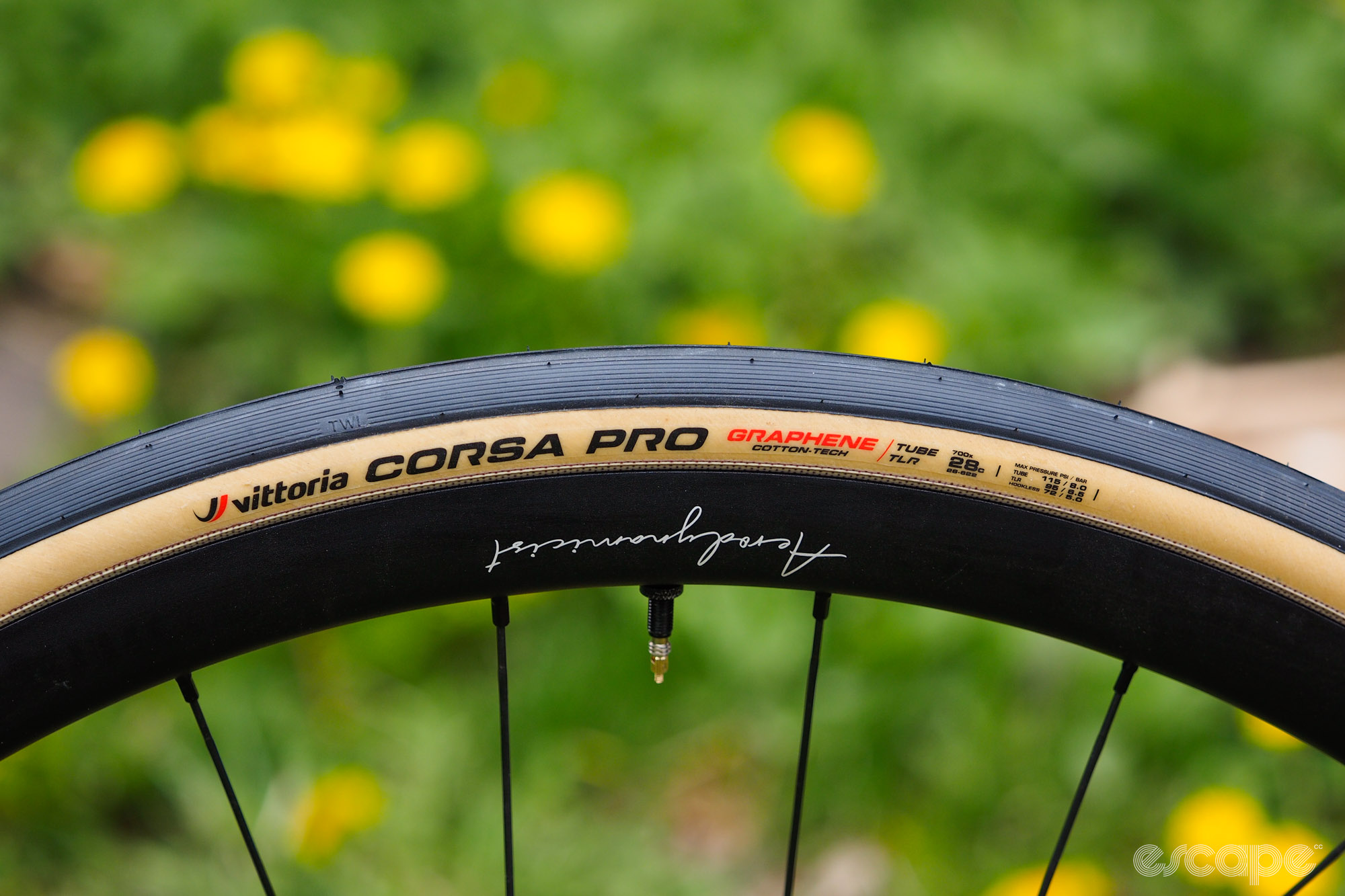 Vittoria goes pro with new Corsa Pro and Corsa Pro Control road tires