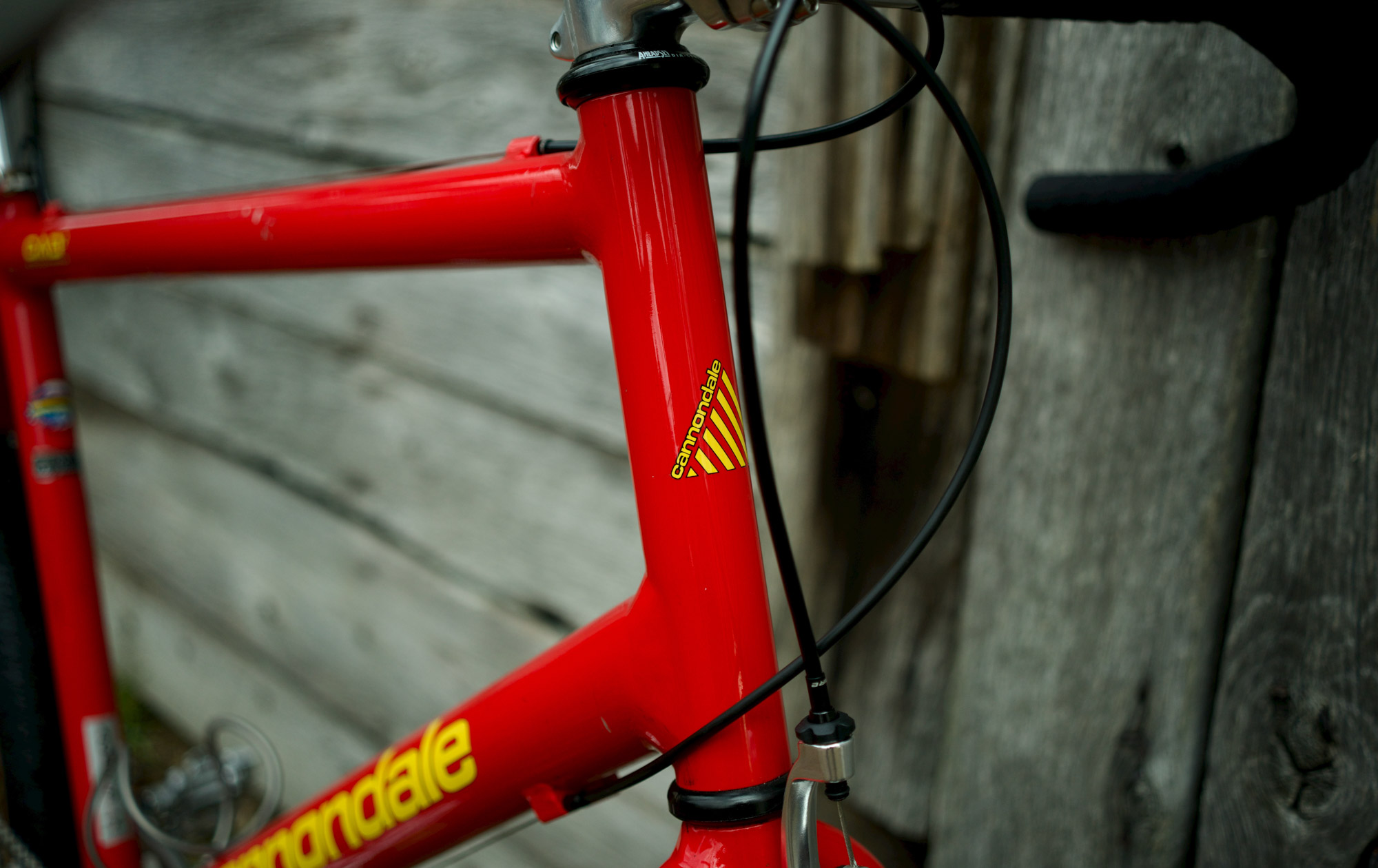 Joy Rides: A retro-modern Cannondale Beast of the East