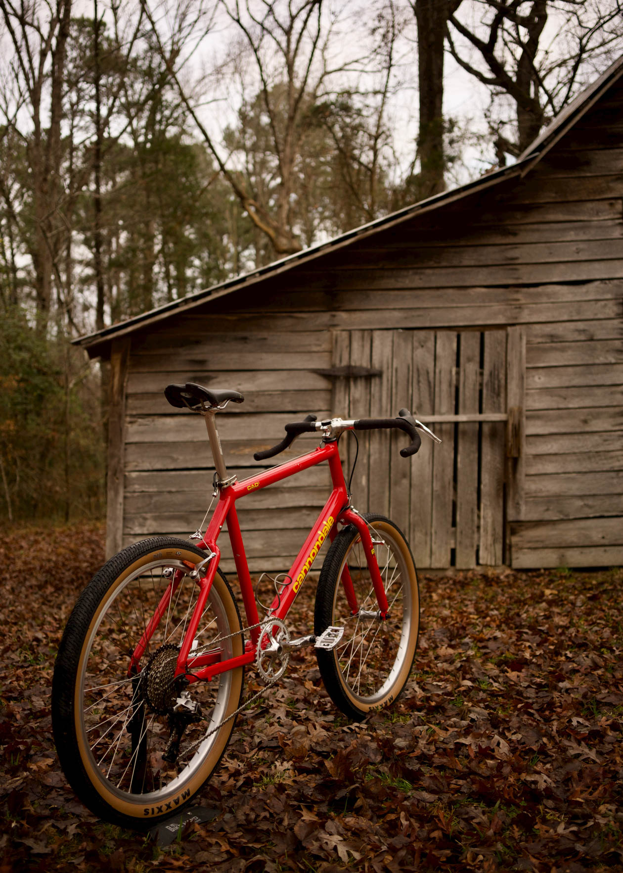 Joy Rides: A retro-modern Cannondale Beast of the East