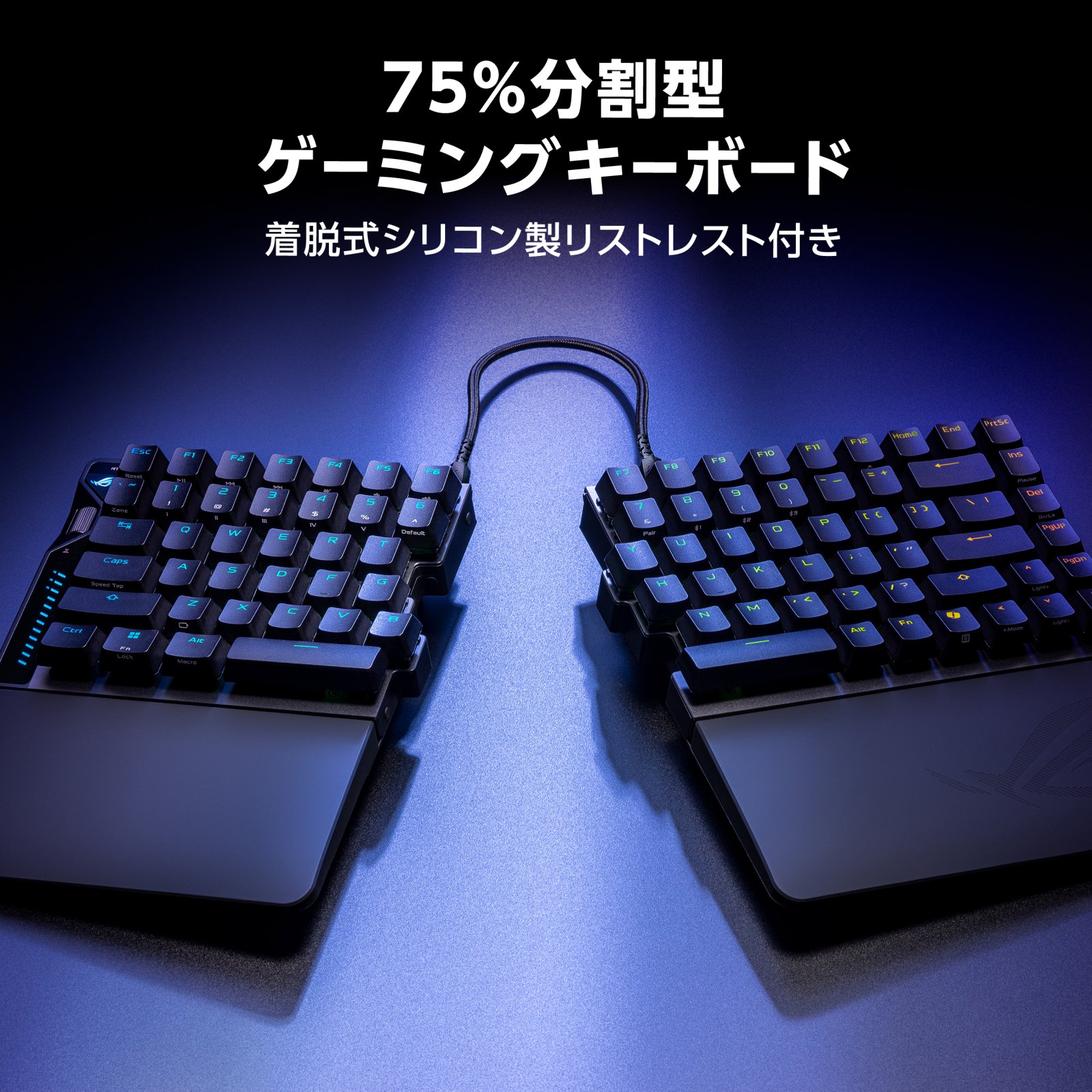 半分だけでも使える！】ASUSからラピッドトリガー対応で半分に分割