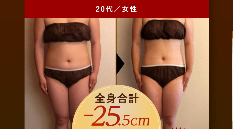 セルライトゼロ2 大人気の業務用エステ機器|ワールドジャパン