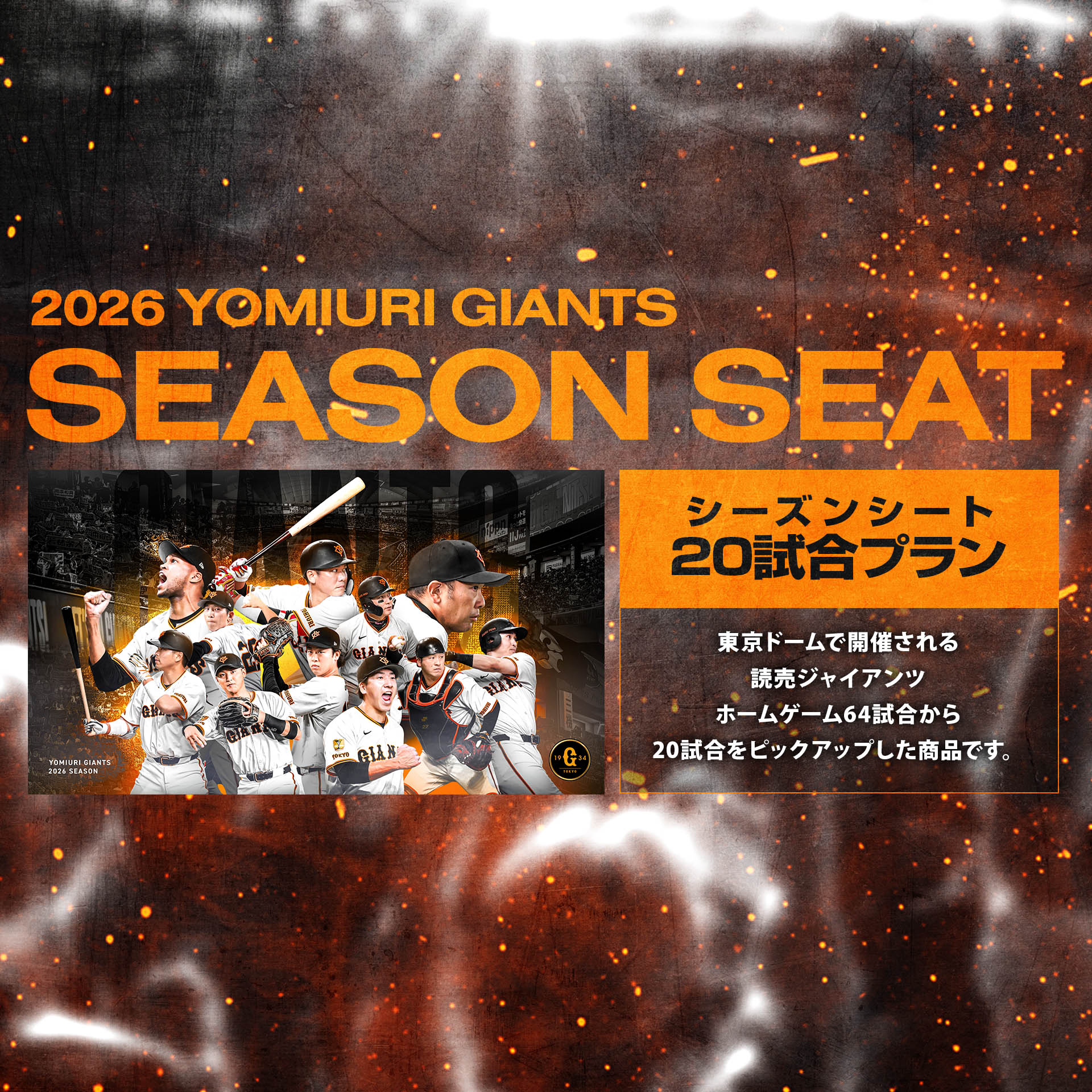 読売ジャイアンツ シーズンシート20試合プラン - イープラス