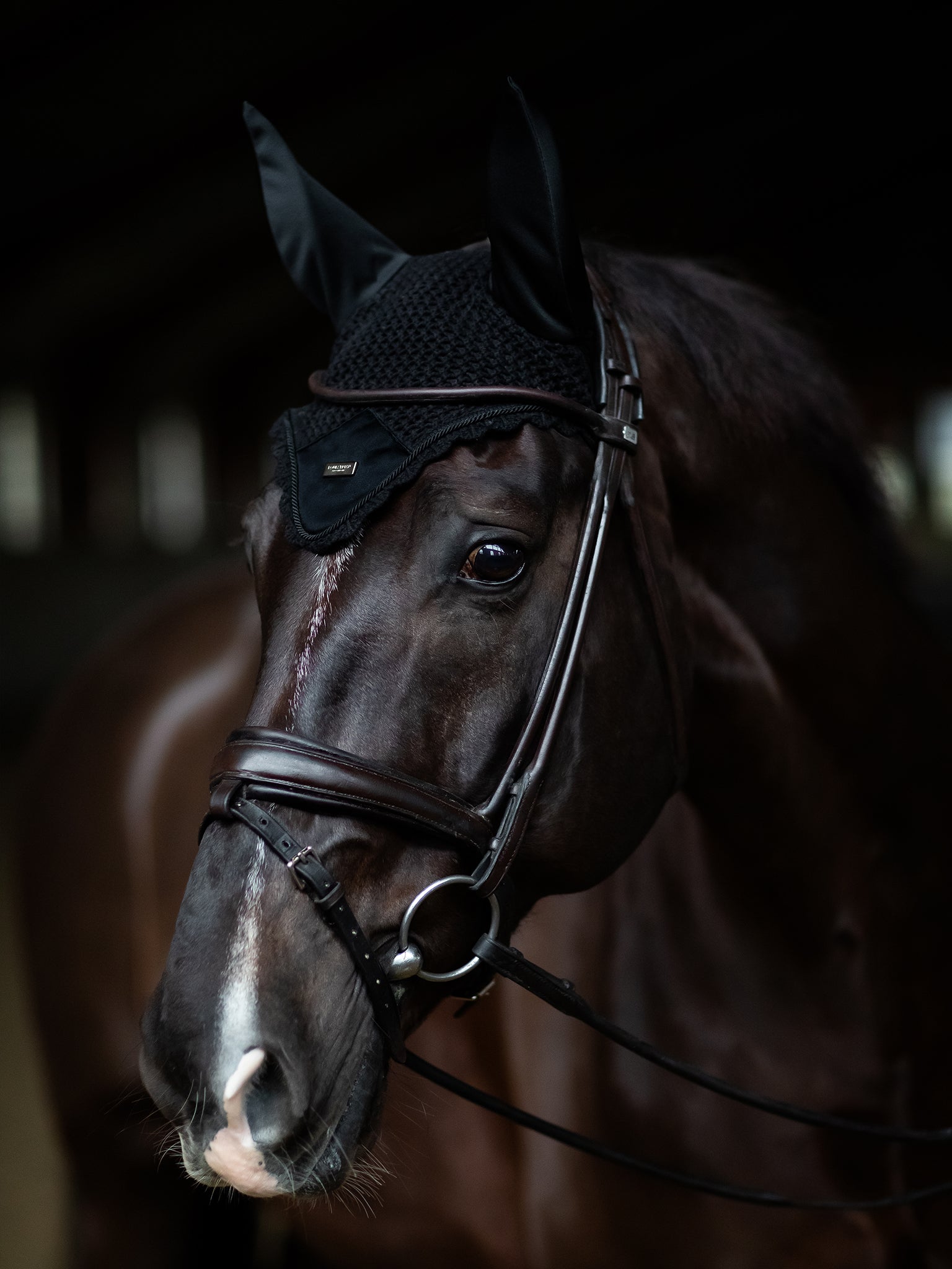 Polo Wraps Emerald Amazonite | Equestrian Stockholm