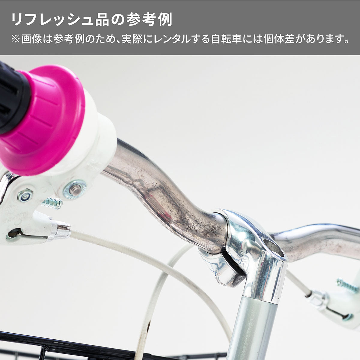 ワイルドベリー – Bridgestone Cycle Ethicle