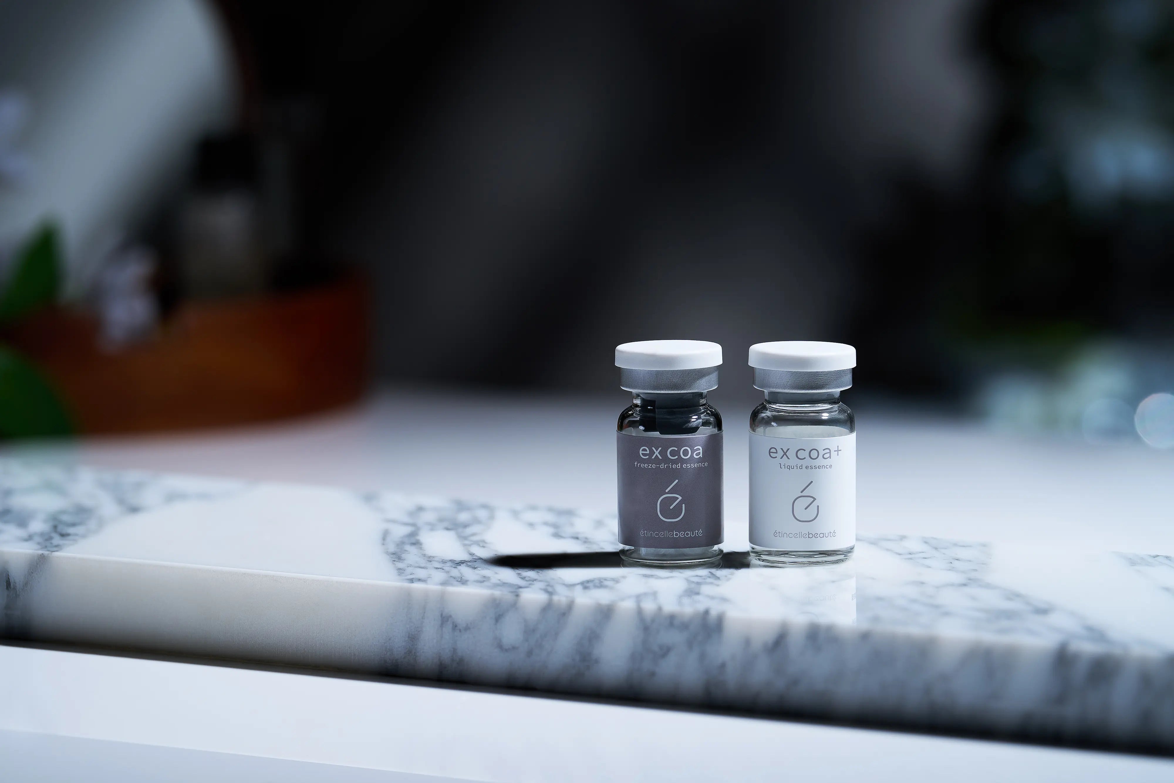 ex coa & ex coa⁺ エクソソーム 線維芽細胞 – エタンセルボーテ