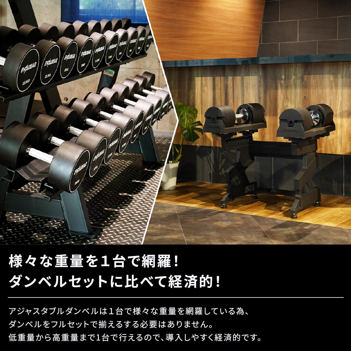 Motions 可変式ダンベル 40kg スタンド/台のみ Motions 可変式ダンベル