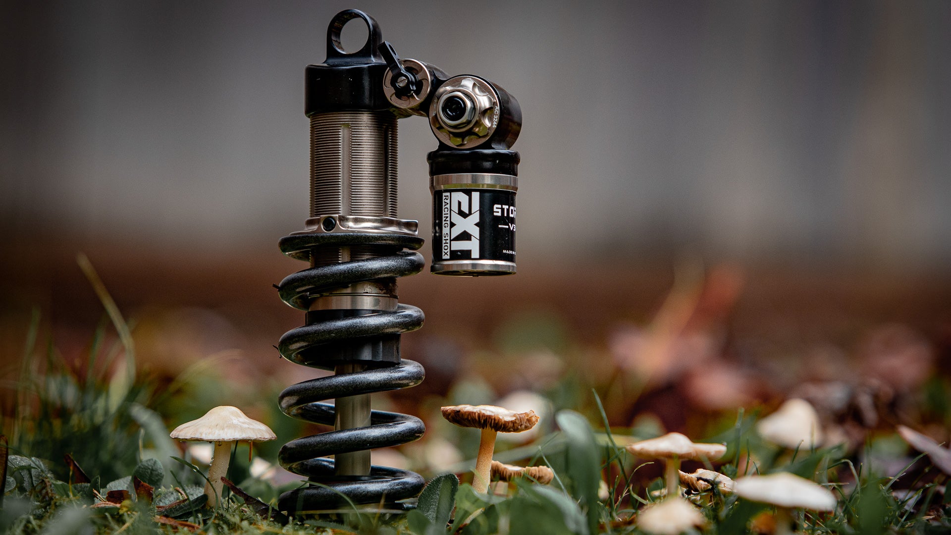 EXT Storia LOK V3 – EXT-USA