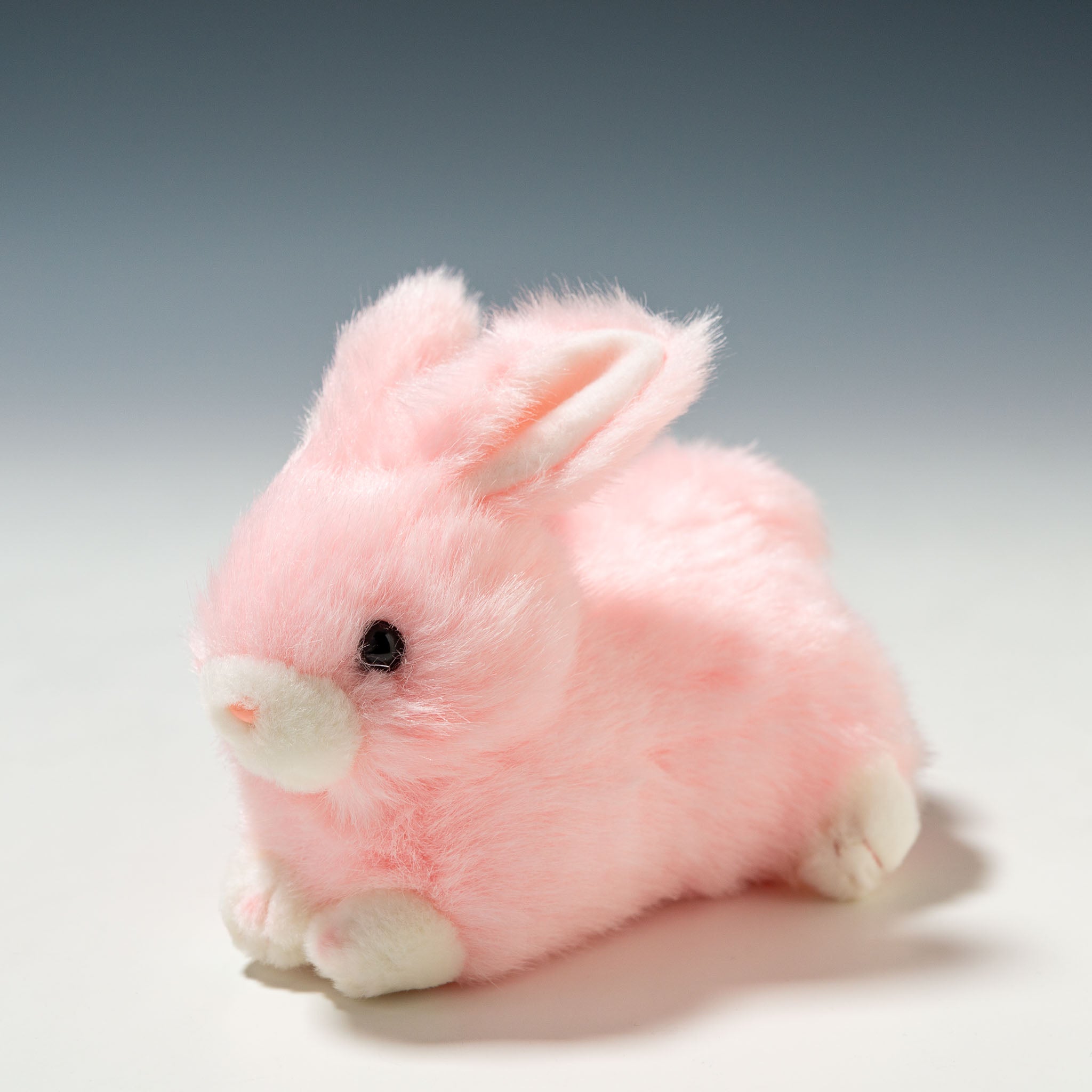 たけのこ TAKENOKO ぬいぐるみ プチどりーむ ミニ (A) ウサギ ピンク