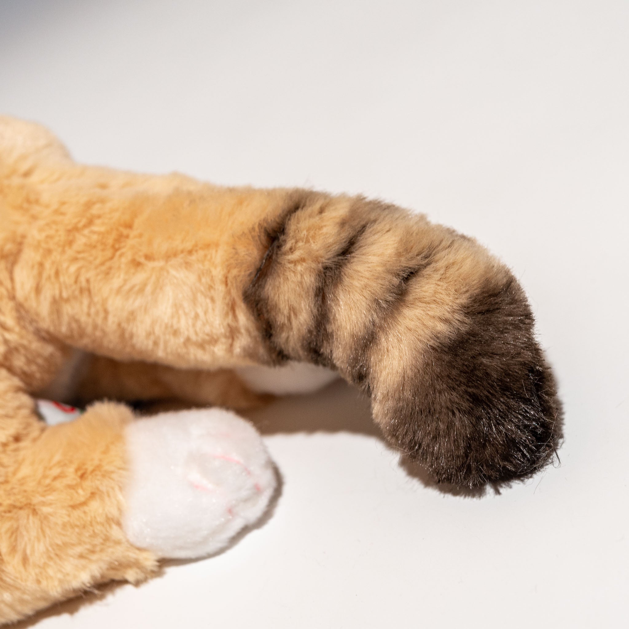 CUTE キュート販売 ぬいぐるみ くたくたスナネコ S Z0322・SS Z0324