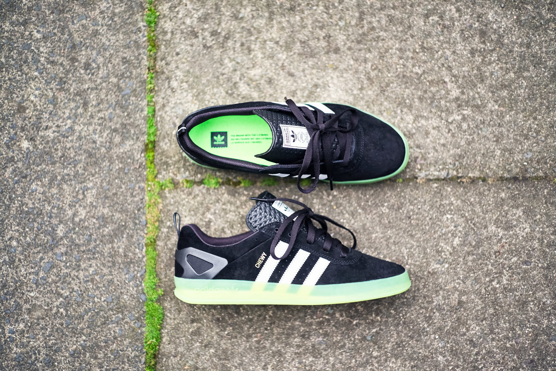 PalaceのChewy CannonとBenny Fairfaxのシグネチャーカラー“PALACE PRO