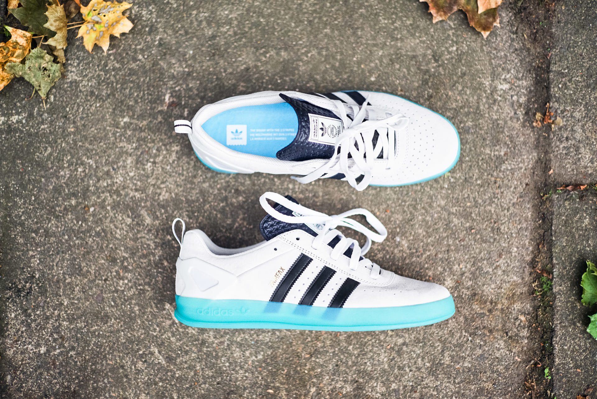 PalaceのChewy CannonとBenny Fairfaxのシグネチャーカラー“PALACE PRO