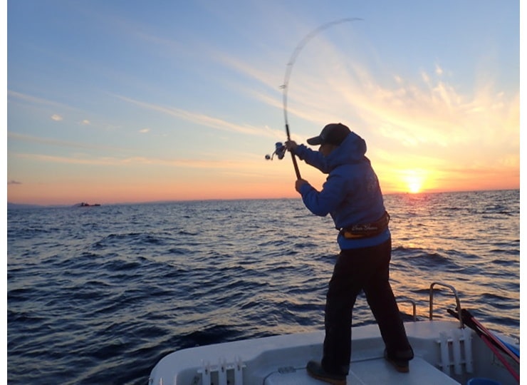 再販】UCB74ft（スピニング） | FCLLABOネットショップ