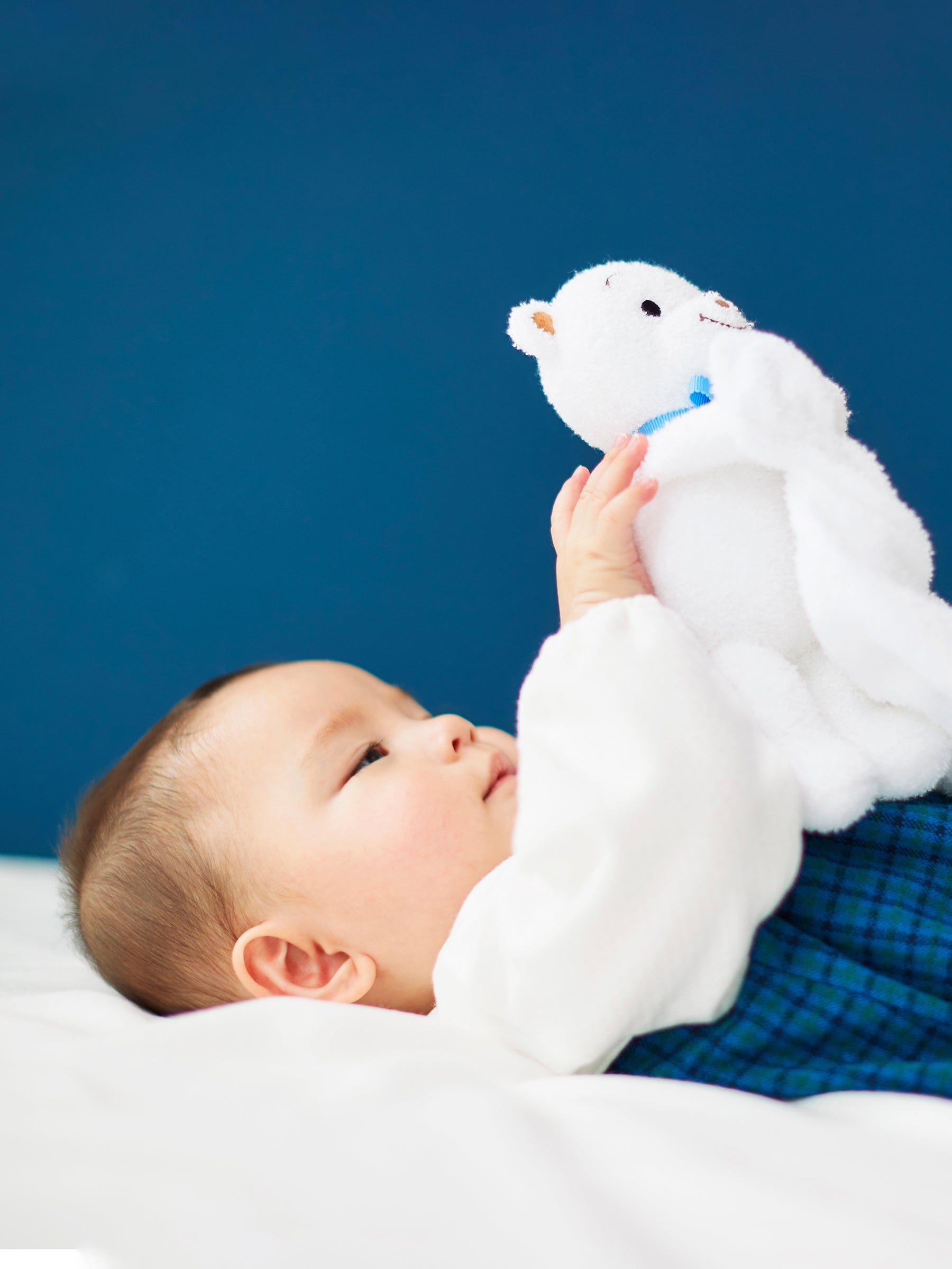 ブランケット付ぬいぐるみ｜ファミリア公式オンラインショップ