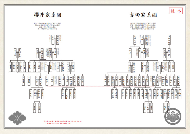 家系図｜ファミリーヒストリー記録社