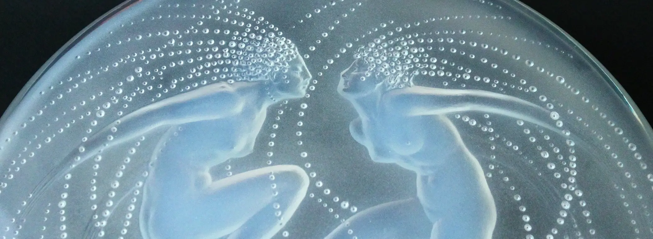 西洋美術骨董ファサード – FACADE西洋美術骨董ファサード | ファサード