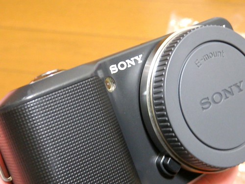 ミラーレス中古を9980円で買った！作例と注意点やおすすめレンズ