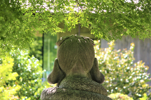 三室戸寺（京都）｜あじさいで有名な”花の寺”現地レポ【西国三十三所10