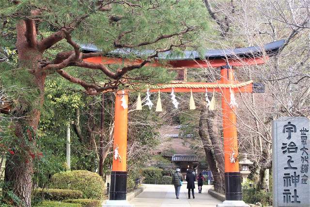 三室戸寺（京都）｜あじさいで有名な”花の寺”現地レポ【西国三十三所10