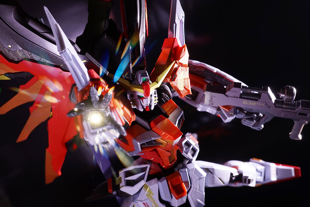 METAL BUILD デスティニーガンダム(ハイネ機) | Destiny Gundam Heine