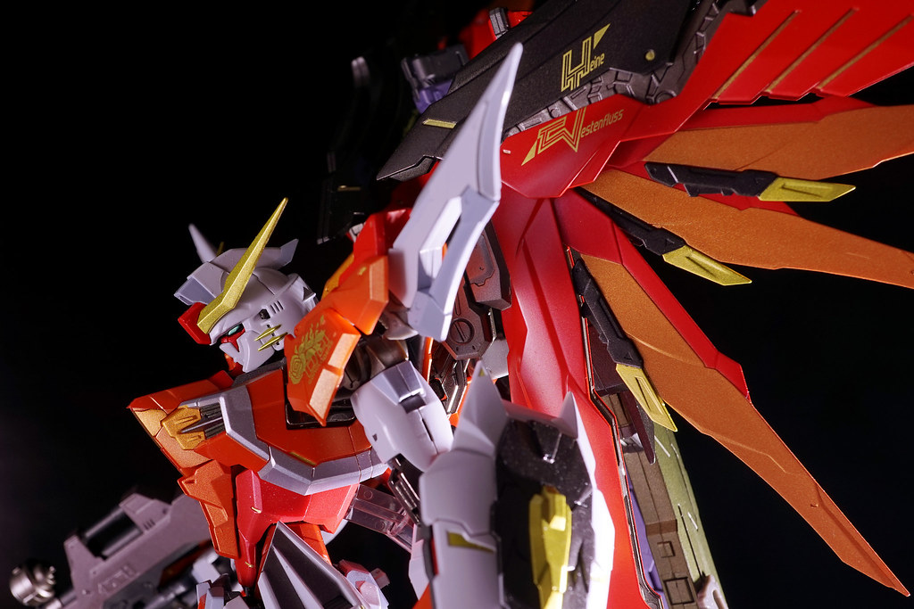 METAL BUILD デスティニーガンダム(ハイネ機) | Destiny Gundam Heine