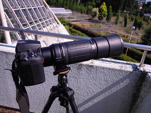 猿の腰掛けEX/in: レンズ紹介 ～ SIGMA 400mm/F5.6 APO TELE MACRO AF